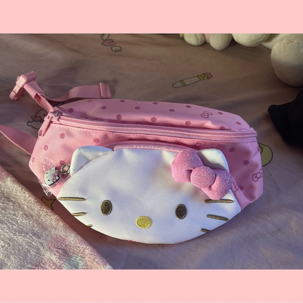 Hello kitty Fannypack wallet back